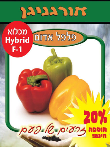 תמונה של נטורל גרין  זרעי פילפל אדום אורגני 50 זרעים