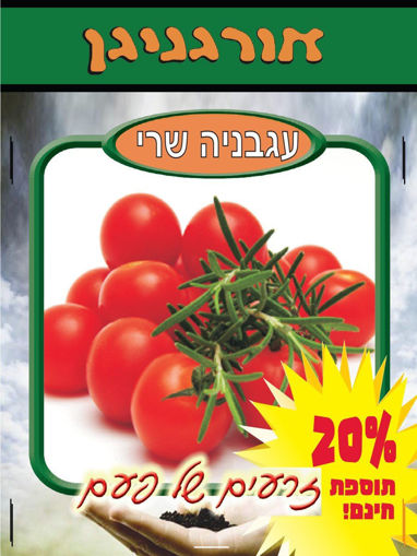 תמונה של נטורל גרין זרעי עגבניות שרי 90 זרעים אורגני