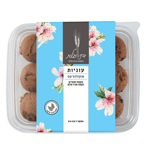 תמונה של דני וגלית עוגיות שוקולד צ'יפס ללא גלוטן 230 ג"ר